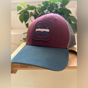 Patagonia snap back